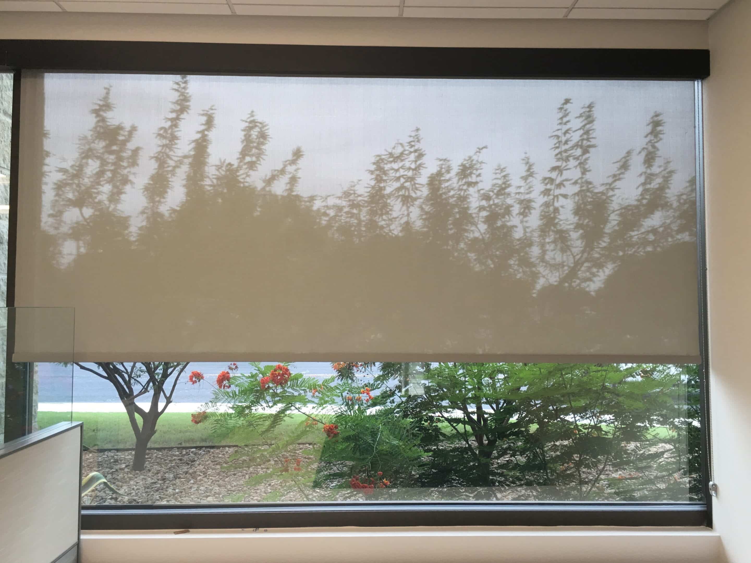 Solar Shades View