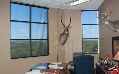 Smart Shade Solutions for Your Business