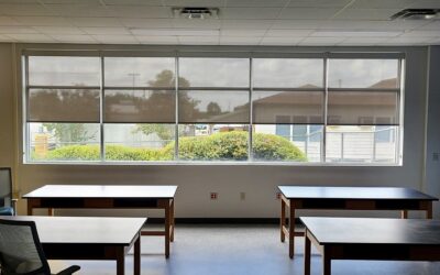Top Commercial Shade Options for Every Industry